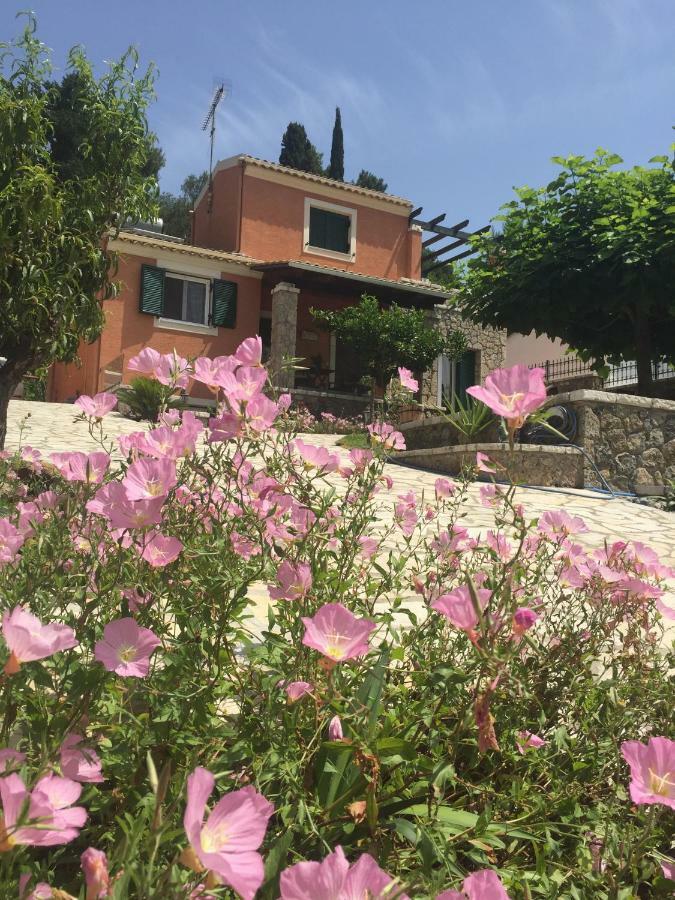 Thomas House Villa